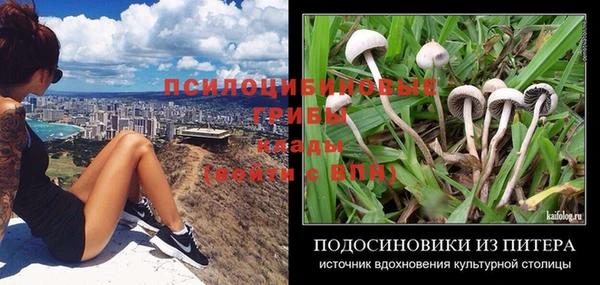 a pvp Алзамай