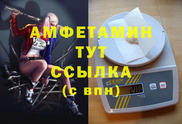 мет Алексин