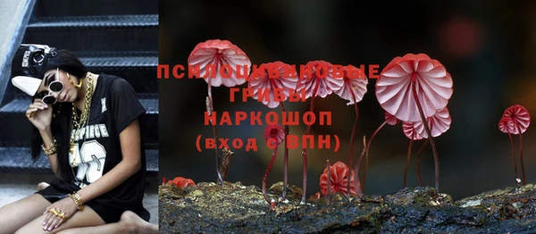 мет Алексин