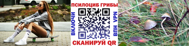 купить наркотики сайты Болгар блэк спрут зеркало Галлюциногенные грибы Magic Shrooms